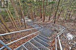 Trails across the street - 