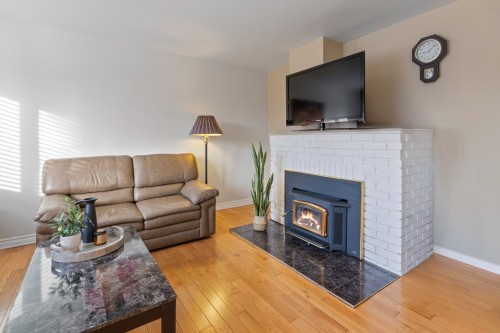 Salon - 99 Rue Hamilton, Châteauguay, QC - Indoor Photo Showing Living Room With Fireplace