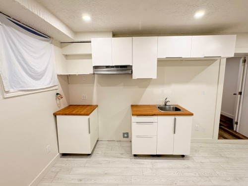 Kitchen - 10014 Rue D'Iberville, Montréal (Ahuntsic-Cartierville), QC - Indoor