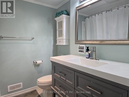 16 Meadowview Road, London South (South O), ON - Indoor Photo Showing Bathroom