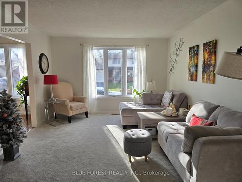 16 Meadowview Road, London South (South O), ON - Indoor Photo Showing Living Room