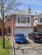 BASEMENT - 14 NILES COURT  Brampton, ON L6S 5T6