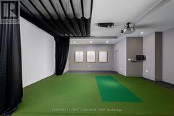 Golf Simulator - 