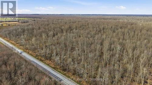 View of Highway and Bush facing NNW. - Lt 15 & Lt 27-28 9 Highway, Brockton, ON 