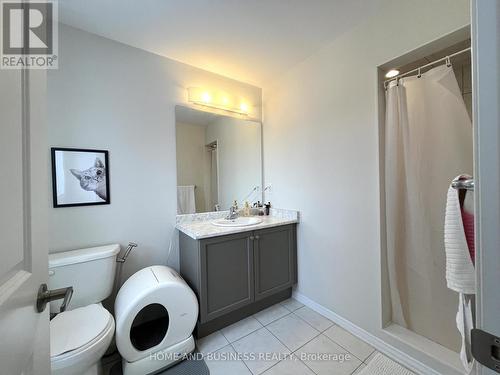25 Allcroft Court, Hamilton, ON - Indoor Photo Showing Bathroom