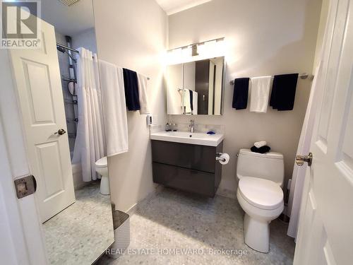 Skirted toilet - 257 Milan Street, Toronto, ON - Indoor Photo Showing Bathroom