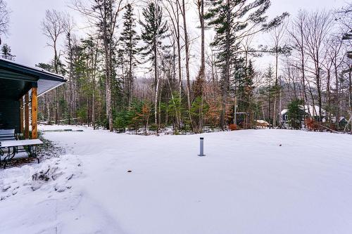 Backyard - 12 Ch. Sisttie, La Pêche, QC - Outdoor