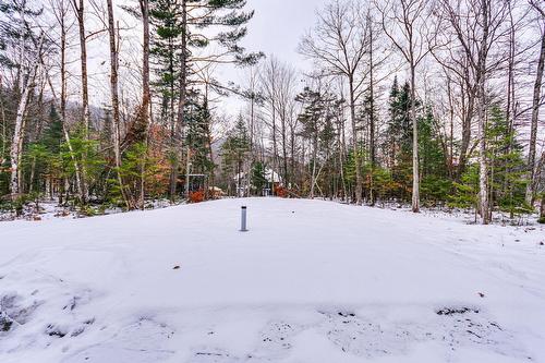 Backyard - 12 Ch. Sisttie, La Pêche, QC - Outdoor With View