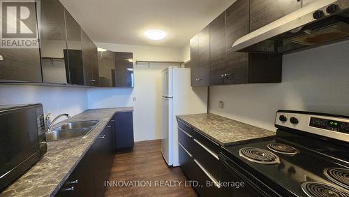 1406 - 2020 Jasmine Crescent, Ottawa, ON - Indoor Photo Showing Kitchen With Double Sink