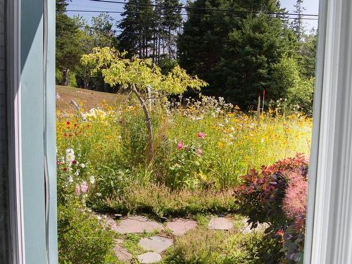 3067 320 Highway, D'Escousse, NS 