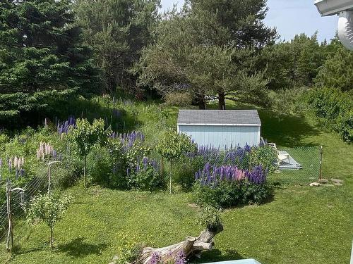 3067 320 Highway, D'Escousse, NS 