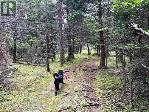 3067 320 Highway, D'Escousse, NS 