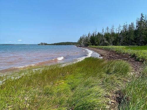 3067 320 Highway, D'Escousse, NS 