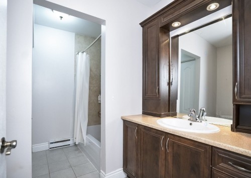 Salle de bains - 2142 Rue Du Havre, Montréal (Ville-Marie), QC - Indoor Photo Showing Bathroom