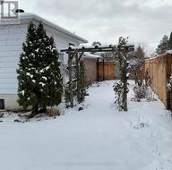 Side yard off driveway - 