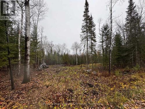 Pt E1/2 Hillcrest Road, East Ferris, ON 