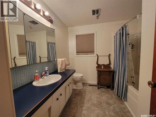 4920 Express Avenue, Macklin, SK - Indoor Photo Showing Bathroom