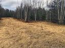 320 Pleasant Dr, Minto, NB 