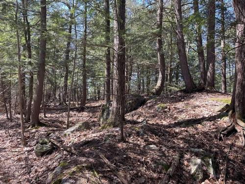 Terre/Terrain - 124C Ch. Pink, Cantley, QC 