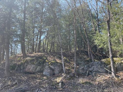 Terre/Terrain - 124C Ch. Pink, Cantley, QC 