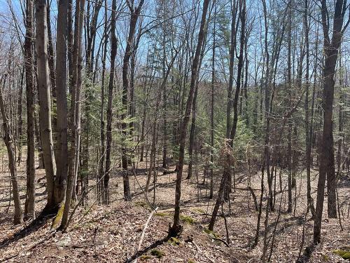 Terre/Terrain - 124C Ch. Pink, Cantley, QC 