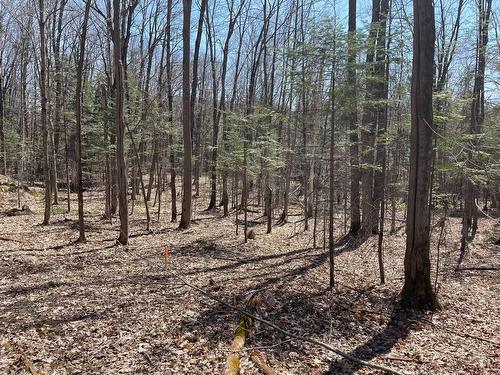 Terre/Terrain - 124C Ch. Pink, Cantley, QC 