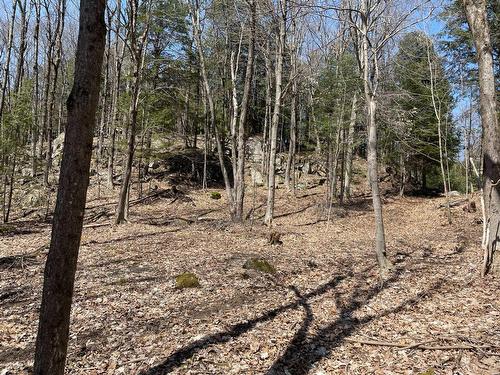 Terre/Terrain - 124C Ch. Pink, Cantley, QC 