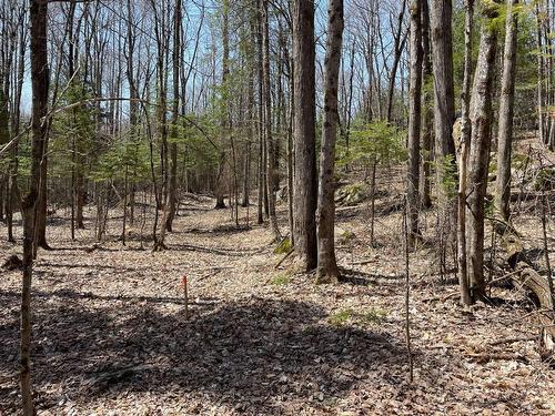 Terre/Terrain - 124C Ch. Pink, Cantley, QC 