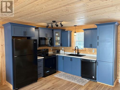 110 Comfort Cove Road, Comfort Cove-Newstead, NL - Indoor Photo Showing Kitchen With Double Sink