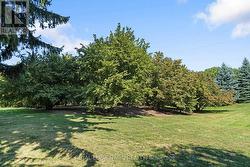 42 Tree Hazelnut Orchard! - 