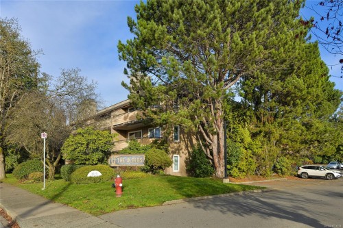 105-3215 Alder St, Saanich, BC - Outdoor