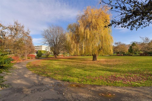 105-3215 Alder St, Saanich, BC - Outdoor With View