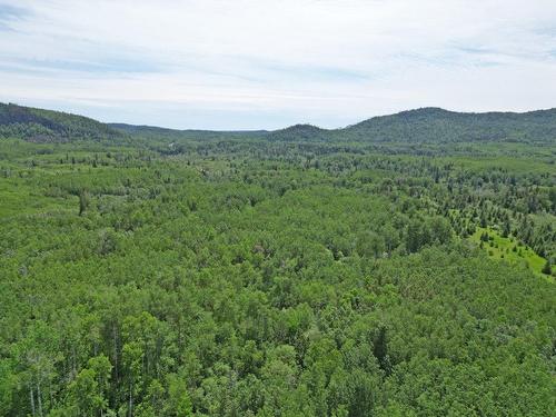 Part 3 Larson Road, Neebing, ON 