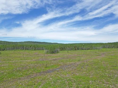 Part 3 Larson Road, Neebing, ON 