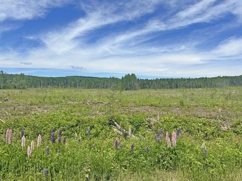 Part 3 Larson Road, Neebing, ON 