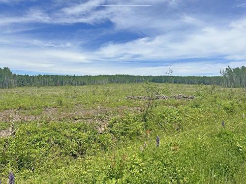 Part 3 Larson Road, Neebing, ON 