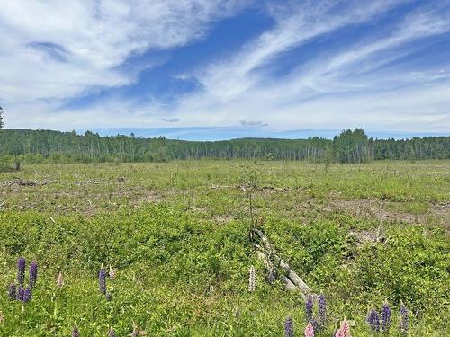 Part 3 Larson Road, Neebing, ON 