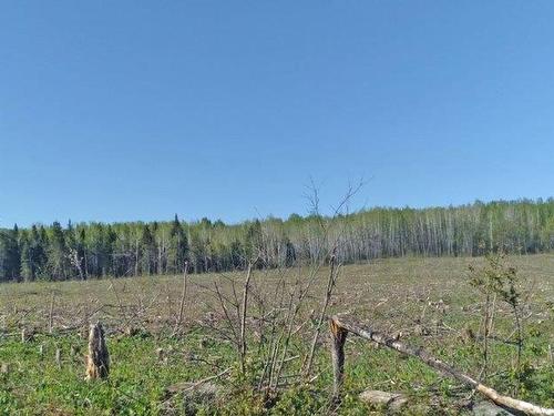 Part 3 Larson Road, Neebing, ON 