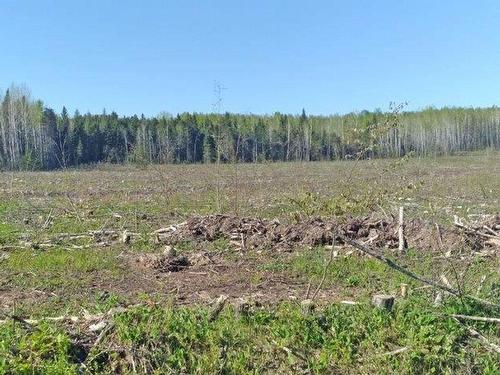 Part 3 Larson Road, Neebing, ON 