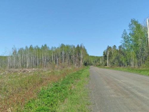 Part 3 Larson Road, Neebing, ON 