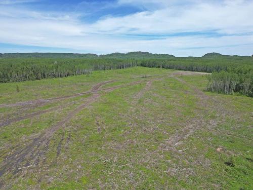 Part 3 Larson Road, Neebing, ON 