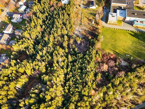 21 Hiscock'S Lane, Cbs, NL 