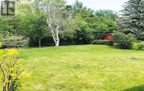 Basement - 906 Walnut Street W, Whitby, ON - Outdoor