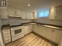 Basement - 906 Walnut Street W, Whitby, ON  - Indoor Photo Showing Kitchen With Double Sink 