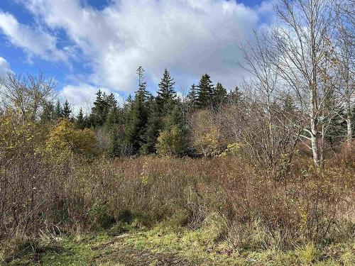 2936 Highway 3, Barrington, NS 