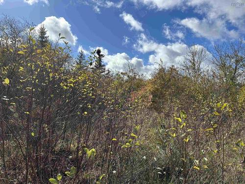 2936 Highway 3, Barrington, NS 