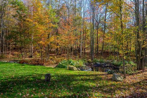 Backyard - 18 Rue De La Cortland, Brownsburg-Chatham, QC - Outdoor