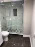 Bsmt 1A - 265 Chilver Heights, Milton, ON  - Indoor Photo Showing Bathroom 
