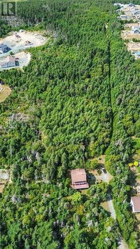 582-594 Indian Meal Line, Torbay, NL - Outdoor