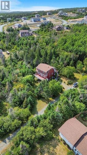 582-594 Indian Meal Line, Torbay, NL - Outdoor With View